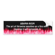 OBAMA-ISM pink flames Bumper Sticker