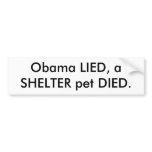 Obama LIED, a SHELTER pet DIED. Bumper Stickers