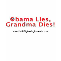Obama Lies Ladies T-shirt