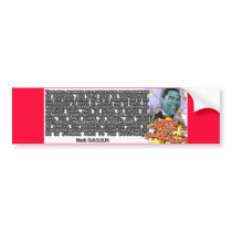 Obama Nation ABOMINATION OF DESOLATION bumper stickers by aandjdesigns Obama Nation ABOMINATION OF DESOLATION bumper stickers