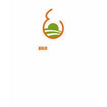 Obama needs a BOLD birth plan T-Shirt by BOLDaction Obama needs a BOLD birth plan T-Shirt