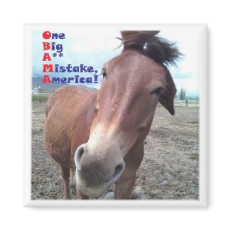 OBAMA - One Big A** Mistake America! magnet
