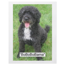 Obama Pet flyers by SpeakYourMind Obama Pet flyers