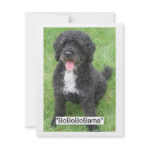 Obama Pet invitations by SpeakYourMind Obama Pet invitations