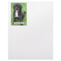 Obama Pet letterhead