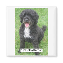 Obama Pet magnets