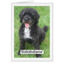 Obama Pet/Portuguese Water Dog Greeting Cards