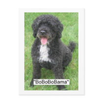 Obama Pet/Portuguese Water Dog Post Cards