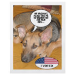 Obama Pet/Whitehouse Humor Personalized Flyer
