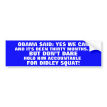 OBAMA SAID "YES WE CAN" & ITS BEEN 30 MONTHS.. BUMPER STICKERS