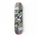 Obama Skateboard & kicks by SONICSOUNDWAVEUS Obama Skateboard & kicks
