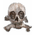 Obama Skull Of Death t-shirts