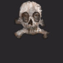 Obama Skull of Terror shirt