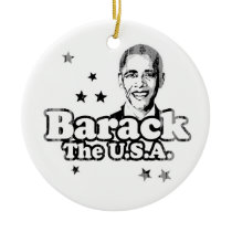 Obama Slogan Barack the USA Faded.png ornaments