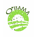 Obama St Patricks Day t-shirts