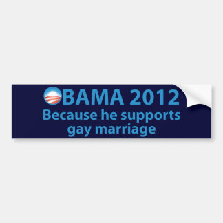 Anti Gay Bumper Sticker 83