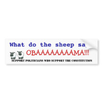 Obama vs the Constitution bumper stickers