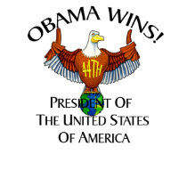OBAMA WINS t-shirts