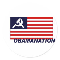 Obamanation Round Sticker