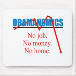 Obamanomics - No job No money No home