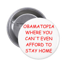 obamanomics pin