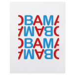 Obamareversed Personalized Flyer