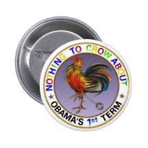 Obama's 1st Term Pins