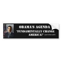 OBAMA'S AGENDA-Anti-Obama Bumper Stickers