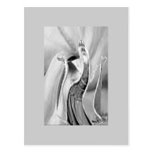 OBATALA SWIRL POSTCARDS