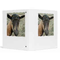 Oberhasli brown goat head shot in color vinyl binder