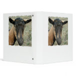 Oberhasli brown goat head shot in color vinyl binder