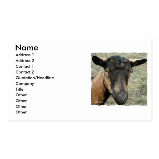 Oberhasli brown goat head shot in color business card templates
