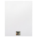 Oberhasli brown goat head shot in color letterhead design