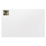 Oberhasli brown goat head shot in color stationery