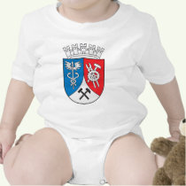 Click here to buy