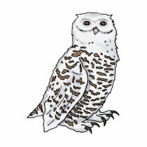 Oberton Owl photo sculptures by BisforBirds Oberton Owl photo sculptures