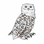Oberton Owl Acrylic Cut Outs