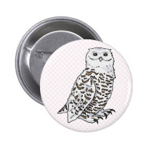 Oberton Owl Pins