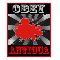 Obey Antigua t-shirts