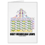Obey Mendelian Laws (Dihybrid Cross Peas) Greeting Cards