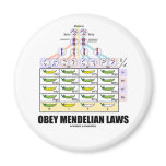 Obey Mendelian Laws (Dihybrid Cross Peas) Fridge Magnets