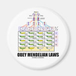 Obey Mendelian Laws (Dihybrid Cross Peas) Fridge Magnets