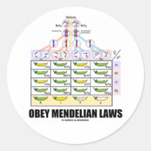 Obey Mendelian Laws (Dihybrid Cross Peas) Sticker