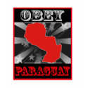 Obey Paraguay t-shirts