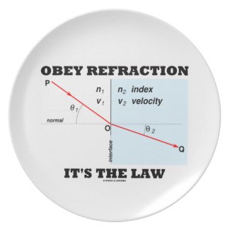 Obey Refraction It's The Law (Snell's Law Physics) Dinner Plate