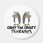 Obey the crazy Penguins! Magnets