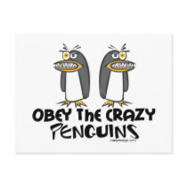 Obey the crazy Penguins! Postcard