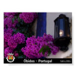 Obidos, Portugal