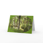 Oboe Forest Card