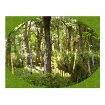 Oboe Forest Postcard
